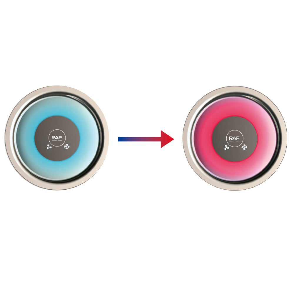 Fast Drying Ionic Hair Dryer RAF R.423  – Smooth, Shiny & Low Noise Styling