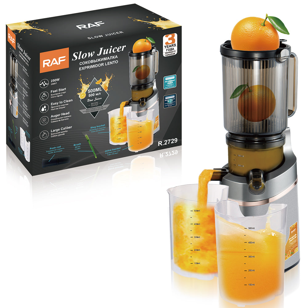 RAF R.2729 High Juice Yield Cold Press Slow Juicer Extractor – 250W Masticating Juice Machine