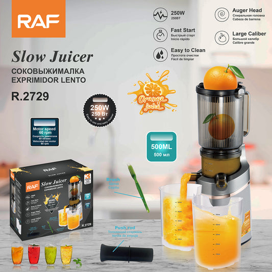 RAF R.2729 High Juice Yield Cold Press Slow Juicer Extractor – 250W Masticating Juice Machine