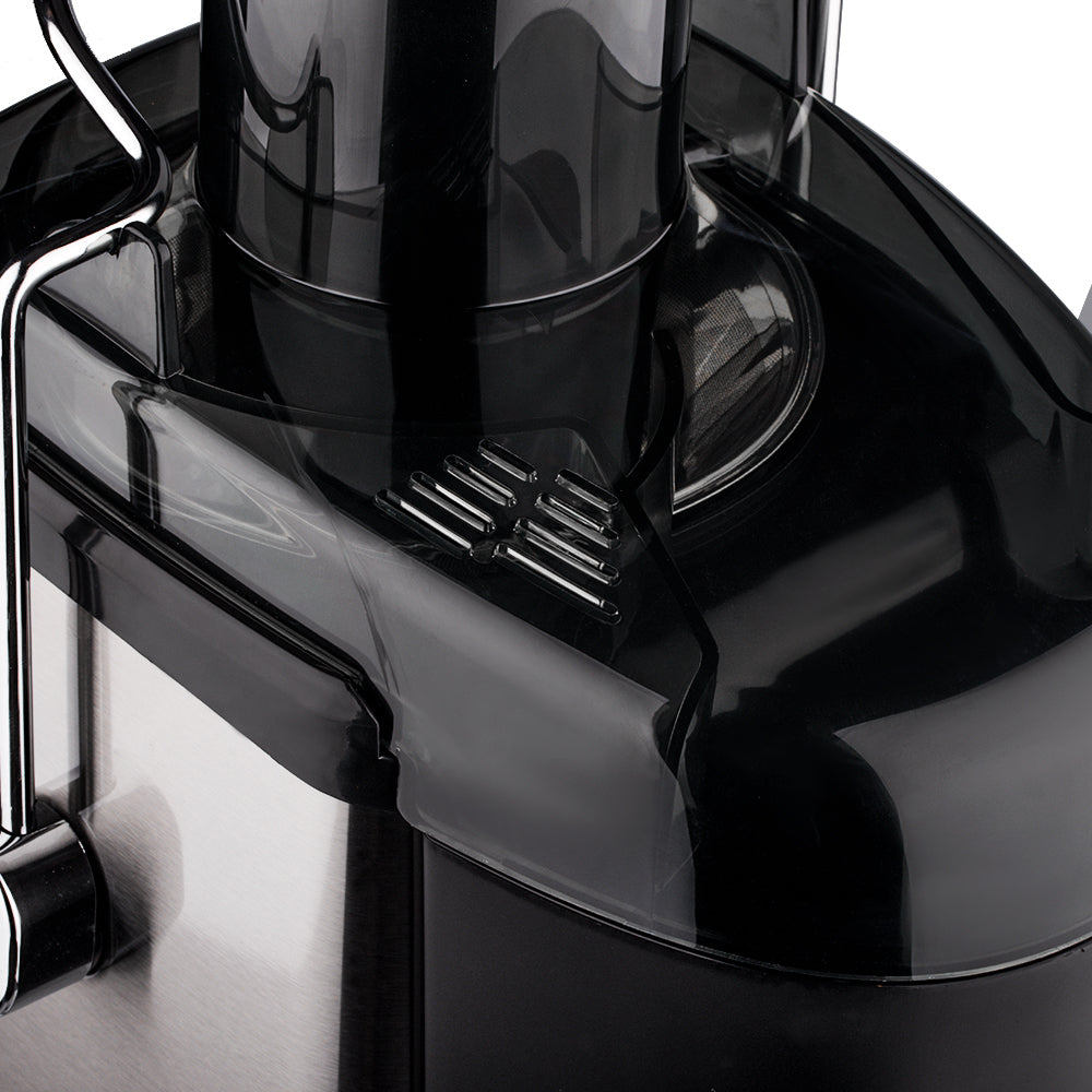 RAF R.2815 Stainless Steel Juicer Extractor – 250W High-Yield Juice Machine