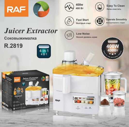 RAF R.2819 4-in-1 Household Chopper, Smoothie Blender & Citrus Juicer – 300W Multi-Function