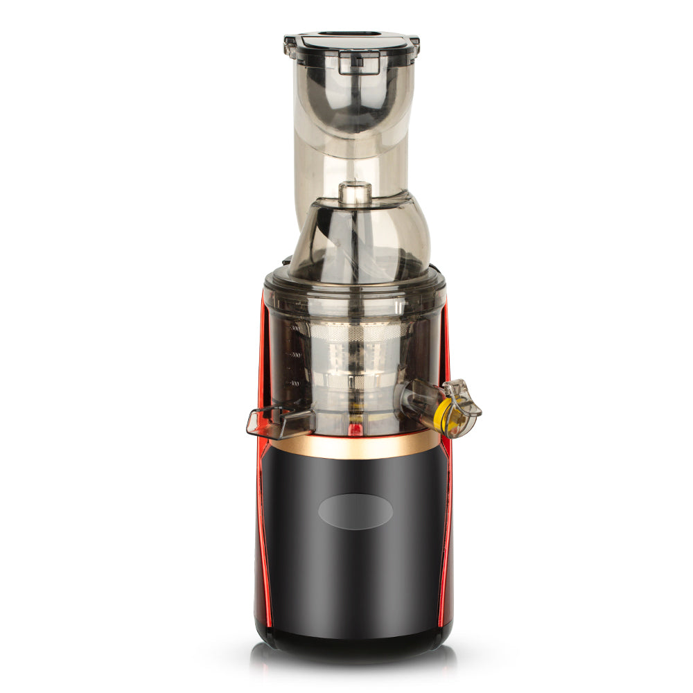 RAF R.2831 Stainless Steel Slow Juicer & Blender – 150W, 2L Capacity, Vertical Screw Slow Masticating Extractor